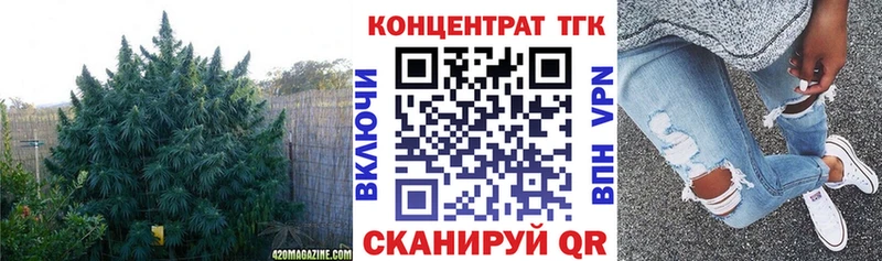 Дистиллят ТГК концентрат  Купить где  Короча 